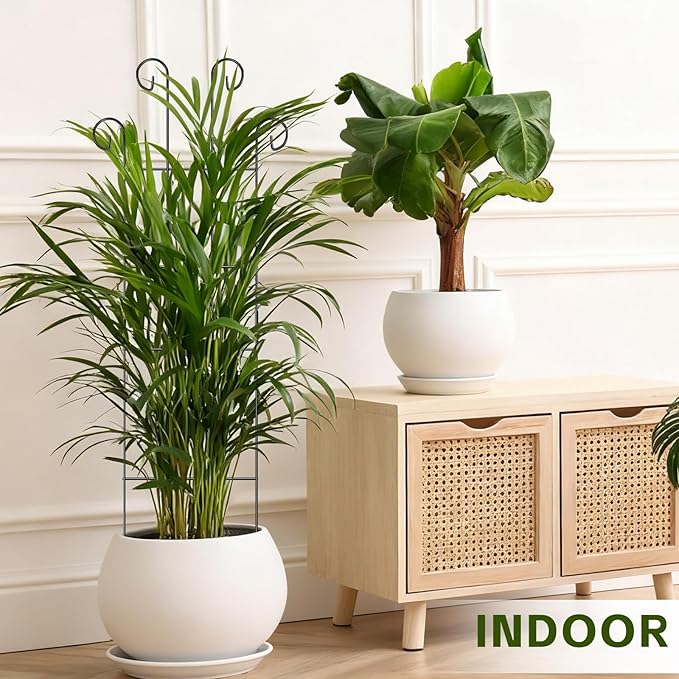 Trellis for Climbing Plants Indoor, 4 Pack 31'' Metal Plant Trellis Indoor for Potted Plants, Sturdy Plant Support Outdoor for Ivy Pothos Monstera Hoya Flower Vine, Wave Shape