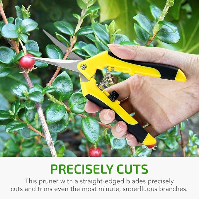 iPower 6.5 Inch Gardening Scissors Hand Pruner Pruning Shear for Gardening and Trimming, Heavy-Duty, Ultra Sharp Stainless Steel, Yellow, 3-Pack