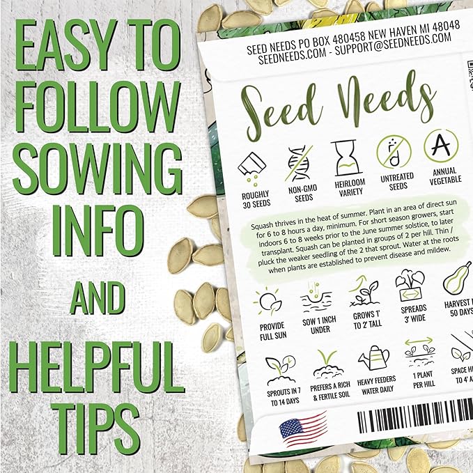 Seed Needs Zucchini Seeds for Planting Black Beauty Summer Squash - Non-GMO, Heirloom & Untreated - Prolific Yields of Delicious Zucchinis in a Home Grown Outdoor Vegetable Garden (1 Pack)