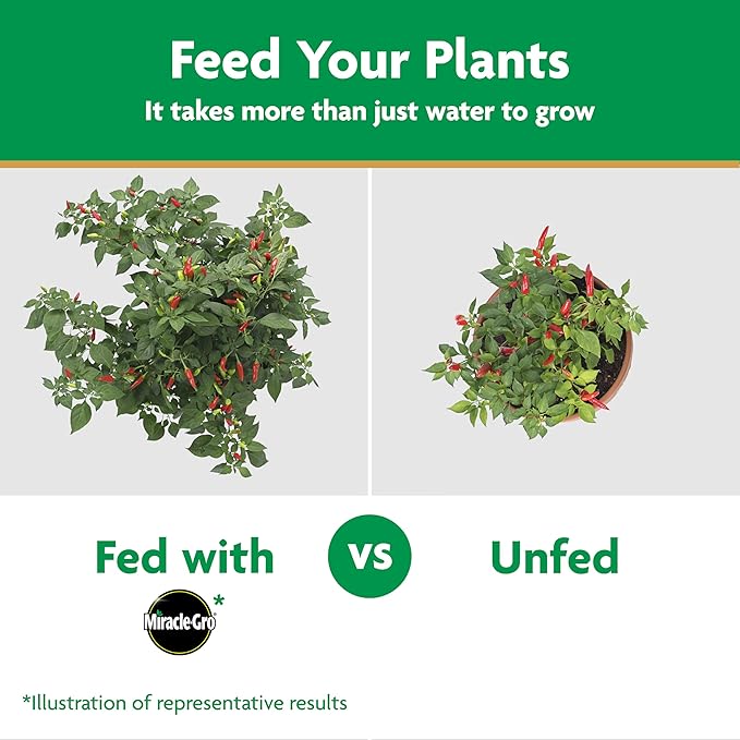 Miracle-Gro Water-Soluble Plant Food for Vegetables & Herbs - Garden Fertilizer for Tomatoes Squash Peppers Cucumbers - Boosts Yield - Abundant Harvest, 2 lbs.