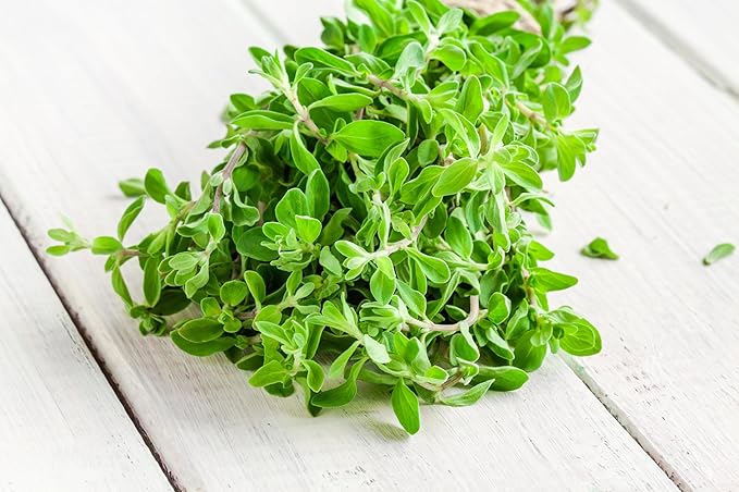 Sweet Marjoram Herb Seeds - Non-GMO 0.25g, Approximately 1000 Seeds