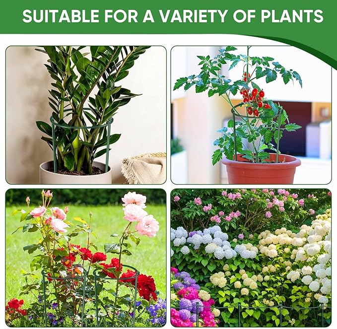 HiGift 10 Pack 24" H x 10" W Tall Plant Support Stakes, Half Round Metal Peony Cages and Supports, Monstera Plant Support Snake Plant Stake Flower Support Ring for Tomato, Hydrangea Outdoor Indoor