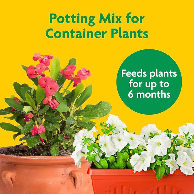 Miracle-Gro Potting Mix for Container Plants, Flowers and Vegetables, 2 cu. ft. & 24 Pack Indoor Plant Food Spikes, Continuous Feeding for Houseplants