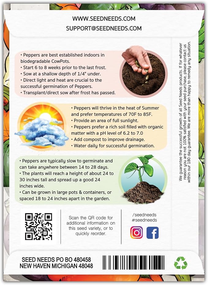 Seed Needs Rainbow Bell Pepper Seeds for Planting Mild Peppers - Non-GMO Heirloom & Untreated Veggie Seed to Plant a Home Grown Outdoor Vegetable Garden (5 Packs)