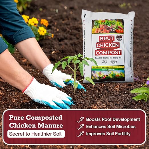 Brut Chicken Compost – Nutrient-Rich 100% Composted Chicken Manure Soil Amendment – Safe, Pure Organic Compost – Additive-Free Soil Fertilizer for Vegetable Gardens, Flowers, & Indoor Plants – 10 Qrt