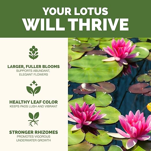 Lotus Fertilizer – Fish Safe Liquid Plant Food for Bigger Lotus Blooms & Stronger Roots 8 oz