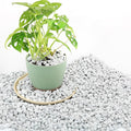 3 Quarts Chunky Perlite for Plant Soil Amendment for Potting Soil, Improves Drainage and Aeration for Soil, Ideal for Succulents, Orchid, Flower Plants (1/4 inch)