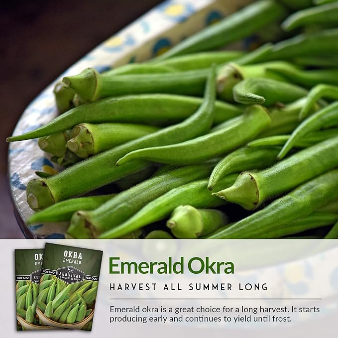 Survival Garden Seeds - Emerald Okra Seed for Planting - Packet with Instructions to Plant and Grow Tender and Large Okra in Your Home Vegetable Garden - Non-GMO Heirloom Variety - 2 Pack