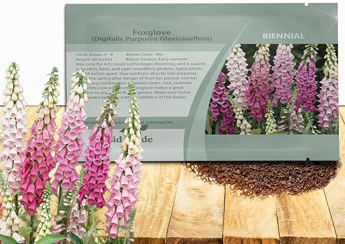 Outsidepride Digitalis Purpurea Gloxiniaeflora Mix Foxglove Seeds – 10000 Pcs Biennial, Prolific, Tall Growing Flower Seeds with Pollinator-Friendly Blooms for Shaded Gardens & Outdoor Landscapes