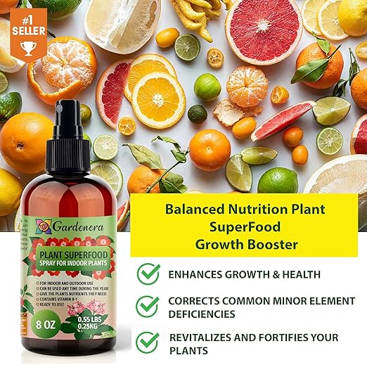 𝐁𝐄𝐒𝐓𝐒𝐄𝐋𝐋𝐄𝐑 Plant Superfood for Dracaena Plants with B1 Vitamin, Glucose and Essential Minerals - Organic Plant Food Fertilizer for Indoor & Outdoor Dracaena Plant Care - 8oz