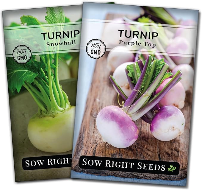 Sow Right Seeds - Collection of Turnip Seeds for Planting - Non-GMO Heirloom Packet with Instructions to Plant & Grow an Outdoor Home Vegetable Garden - 2 Varieties Include Purple Top & Snowball