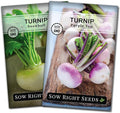 Sow Right Seeds - Collection of Turnip Seeds for Planting - Non-GMO Heirloom Packet with Instructions to Plant & Grow an Outdoor Home Vegetable Garden - 2 Varieties Include Purple Top & Snowball