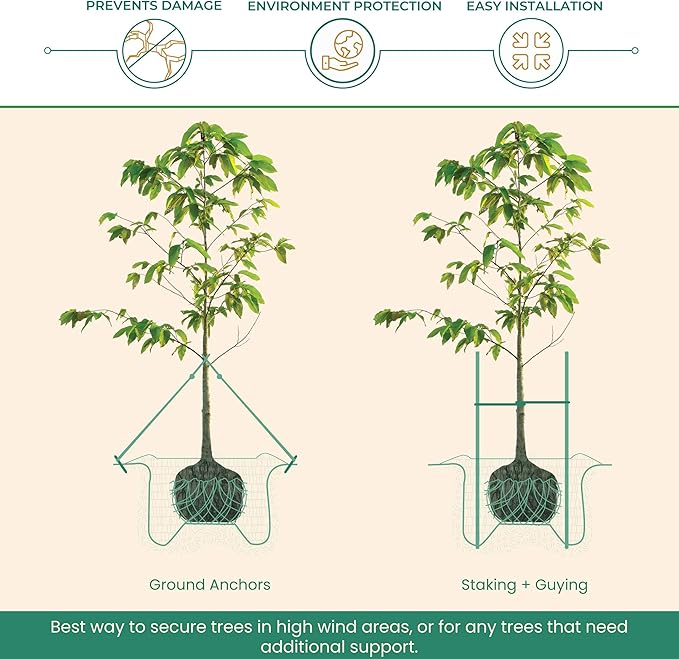 DeepRoot ArborTie Tree Straps for Staking and Guying, Flexible Tree Support Straps, Versatile Tree Rope, Tree Ties For Street Trees, Orchards, and Landscape Trees, 250’ Roll, Olive (AT 2G)
