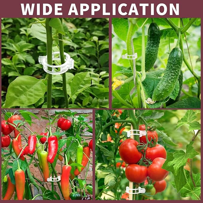 Clearance Deal: 200Pcs Plant Support Clips - Plastic Plant Fixing Clips for Climbing Plants, Tomato Vine Clips, Garden Clips for Securing Stems, Grapes, Vines & Vegetables