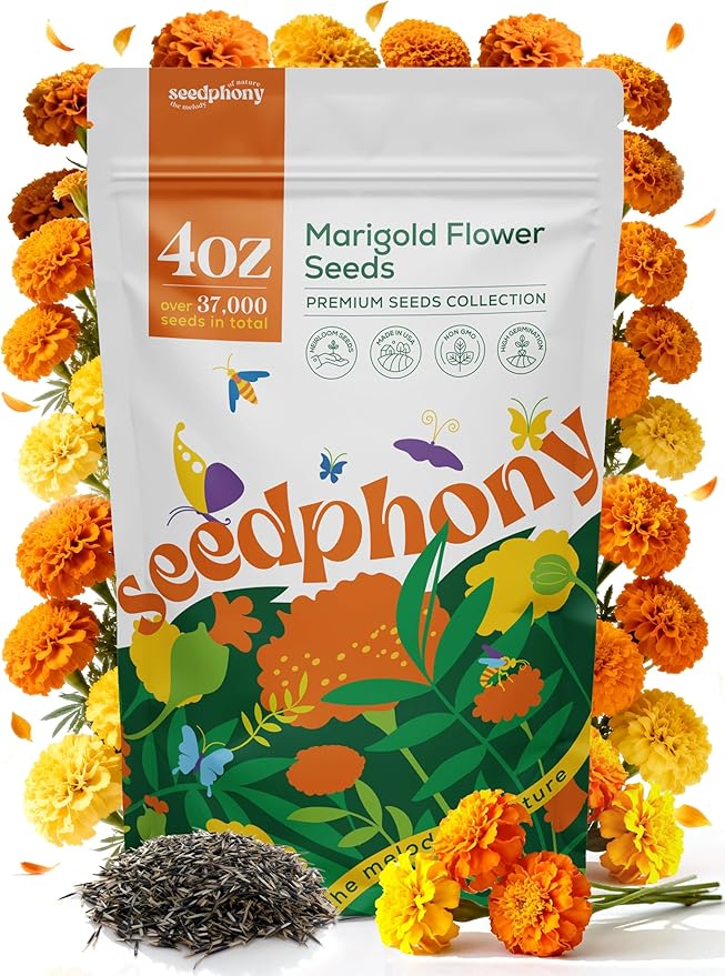 Marigold Seeds Pack 4 oz - 37,000 Non-GMO Heirloom Marigold Seeds for Planting, Perennial Flowers in Waterproof Seed Packet, Wildflower Seeds for Planting Garden Indoor & Outdoor Gardening