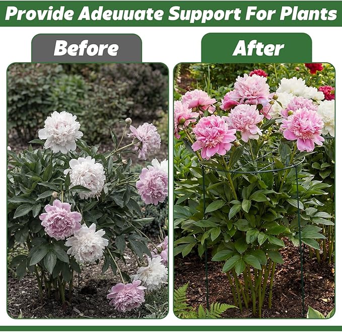 4 Pack Round Peony Cages and Supports 20 x 30 Inches (D x H) Grow Through Grid Plant Brace Plant Support Stake Heavy Duty Metal Flower Support Rings for Rose Tomato Hydrangea Strawberry