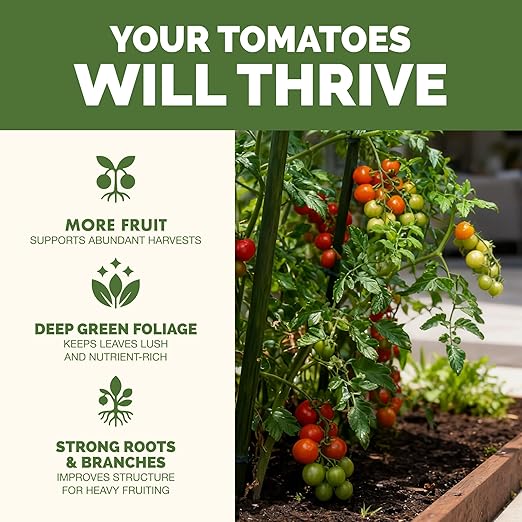 Tomato Fertilizer – Liquid Plant Food for Bigger Harvests, Stronger Plants & Healthy Growth, 8 oz
