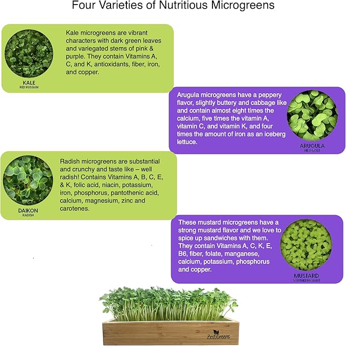 Microgreens Refill for Zestigreens Microgreens Growing Kit. Kale, Daikon Radish, Arugula & Mustard Organic Microgreens Seeds & 4 mats.