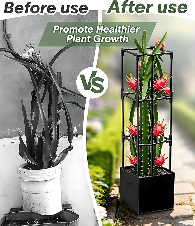 2PCS Dragon Fruit Trellis for Climbing Plants Indoor Outdoor, Heavy Duty Metal Adjustable Vertical Garden Support for Indoor Outdoor Potted Plants, Tomato, Cactus, Roses,Vines(12 * 12 * 47inch,2PC)