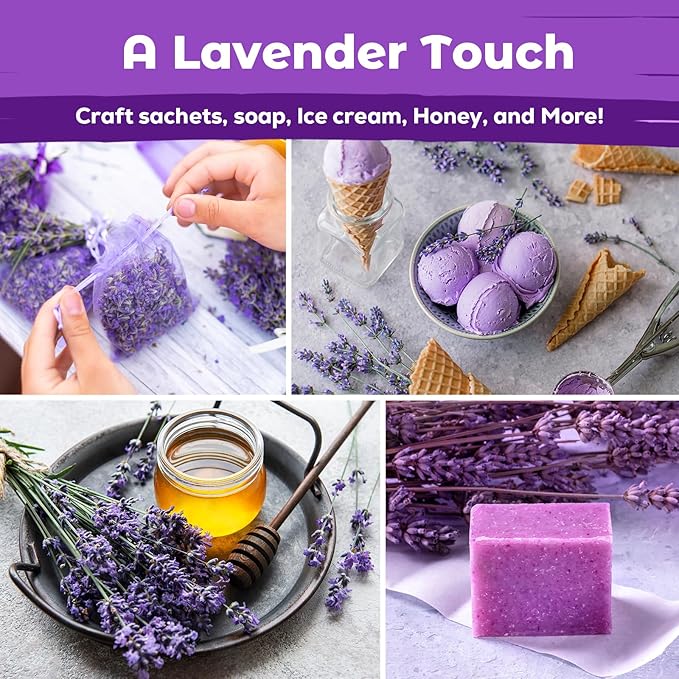 7,000+ Lavender Seeds Large Non GMO 3/4 Ounce Packet English Lavender Seeds- Heirloom Seeds Lavandula Angustifolia Wildflower Seed for Planting Indoor/Outdoor, High Germination