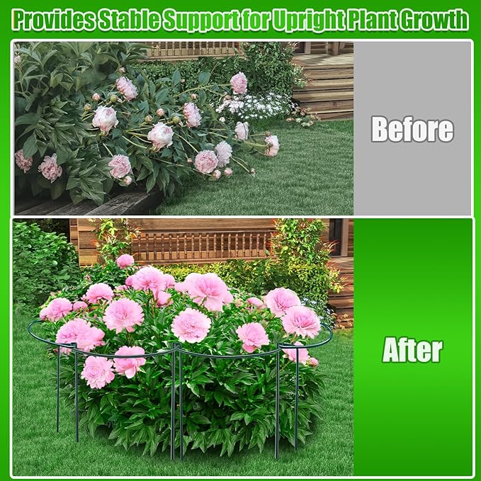 8 Pack Peony Cages and Supports, 10" W x 16" H Plant Support Plant Stakes, Grow Through Plant Supports for Outdoor Plants, Plant Brace Flower Support Rings Hoops for Vegetables,Rose,Tomato,Orchids
