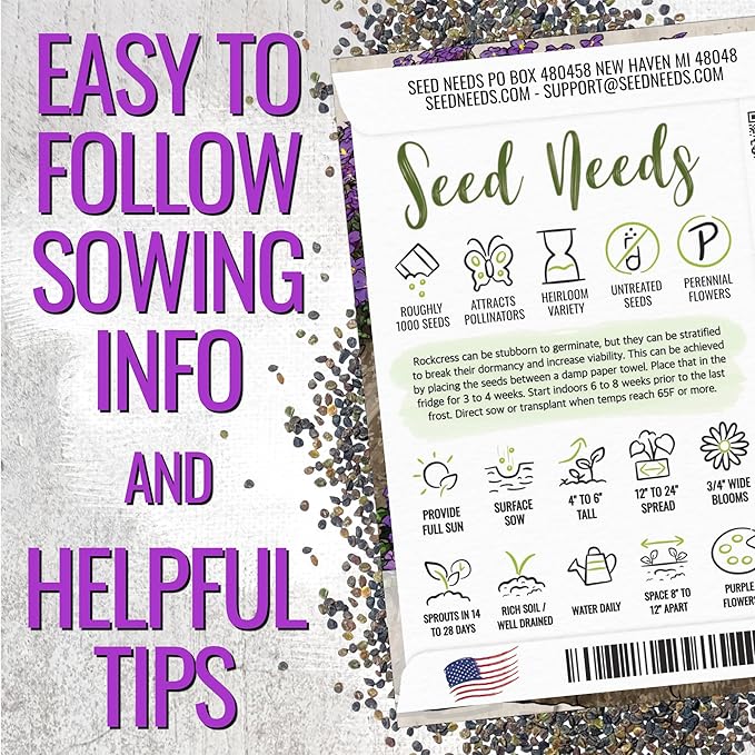 Seed Needs Purple Rockcress Seeds for Planting - Heirloom & Open Pollinated Perennial Flower Great for Rock Gardens, Groundcover, Attracts Pollinators (1 Pack)