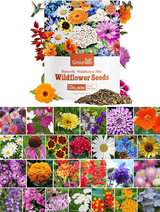 Wildflower Seeds Bulk, 1/4 lb, 100,000+ Seeds, 26 Variety Mix with Zinnia, Milkweek Seed, Attracts Pollinators, Plant in Spring or Fall, Zones 3, 4, 5, 6, 7, 8, 9, 10