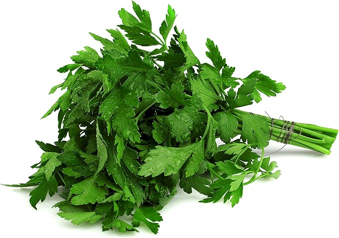 TotalGreen Holland | Herb Trio Grow Kit | Grow Basil Plant, Parsley and Chives this Summer | Grow a Herb Garden From Seed in Terra Cotta Pots | Non-GMO Live Plants