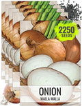 Seed Needs Onion Seeds for Planting Walla Walla Long Day Onions - Non-GMO Heirloom & Untreated Vegetable Seeds to Plant an Outdoor Home Grown Veggie Garden (5 Packs)