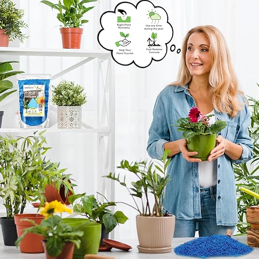 GARDENWISE 10-10-10 Fertilizer & 20-20-20 Water Soluble Fertilizer Bundle for All Purpose Plants - Liquid Fertilizer with Seaweed Kelp & Iron - Plant Food Outdoor & Indoor Plant Food, 8oz & 1/2 Quart