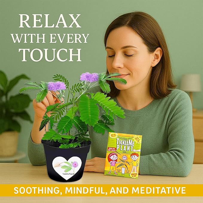 Mother’s Day Gift for Mom – TickleMe Plant – Moves When Touched – Grows Pink Flowers – “I’m Tickled You’re My Mom” – Unique Gift from Kids – Easy Indoor Kit
