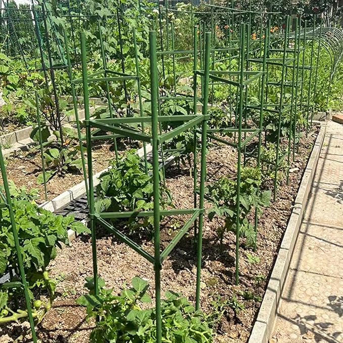 Pwshymi Tomato Cage Heavy Duty Sturdy Plant Support Stakes for Garden and Pots Indoor and Outdoor, Adjustable Design for Versatile Growing, 3Pcs Tomato Cage for Farmers and Home Gardeners (160cm)
