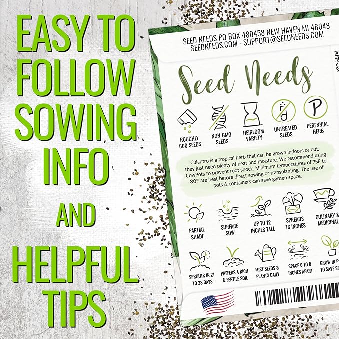Seed Needs Culantro Seeds for Planting Mexican Coriander - Non-GMO Heirloom & Untreated Culinary/Medicinal Herbs to Grow an Indoor/Outdoor Herb Garden (5 Packs)