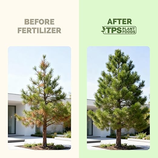 Tree Fertilizer – Liquid Plant Food for Healthy Roots & Foliage in Trees & Shrubs, 32oz