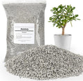 Horticultural Pumice for Plants, 8 Quarts Bag Natural Soil Amendment, 1/4" Particle Size for Succulent, Cactus, Bonsai Tree, Orchid Potting Mix