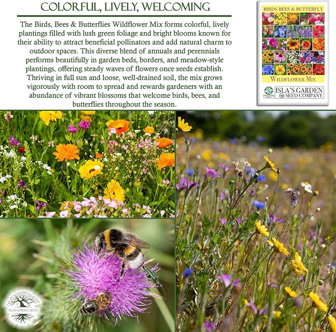 Birds, Bees & Butterflies Wildflower Mix – 500+ Seeds/PK by Isla’s Garden Seeds, Colorful Variety of Pollinator-Friendly Blooms, Supports Local Wildlife, Perfect for Garden Beds, Borders & Meadows