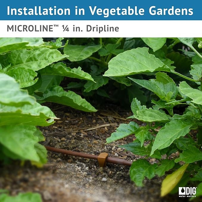 DIG ML-112B ¼” 100’ MICROLINE™ Dripline, 12” Dual Outlet Emitter Spacing, UV-Resistant Tubing for Efficient Irrigation | Ideal for Raised Beds | Flexible, Durable, Easy Installation (Brown)