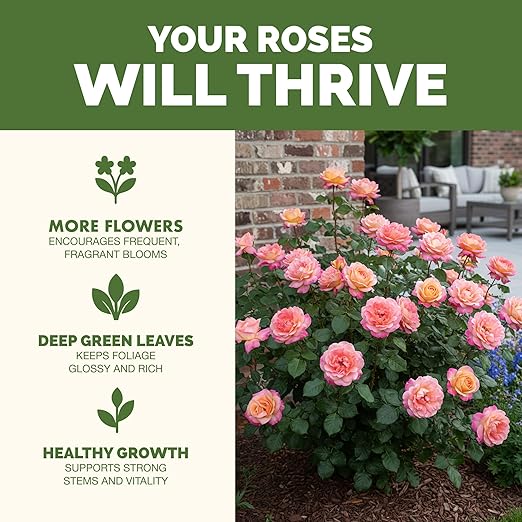 Rose Fertilizer – Liquid Plant Food for More Blooms, Vibrant Color & Stronger Stems, 8 oz