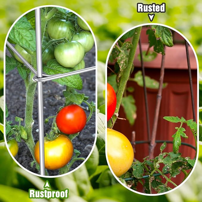 Hicarer 16 Pack Square Tomato Cage Heavy Duty Tomato Cages for Garden Vegetable Plant Trellis Stakes Plant Support Stake Tower for Climbing Vegetables Plants Flowers Fruit (11.5 x 56 Inches,Silver)