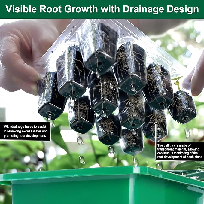 Seed Starter Tray Kit, 12 Pack 144 Cells with Humidity Dome, Reusable Seedling Trays with Drainage Holes, Plant Germination Kit with Labels & Tools for Mini Greenhouse Propagator Indoor Garden
