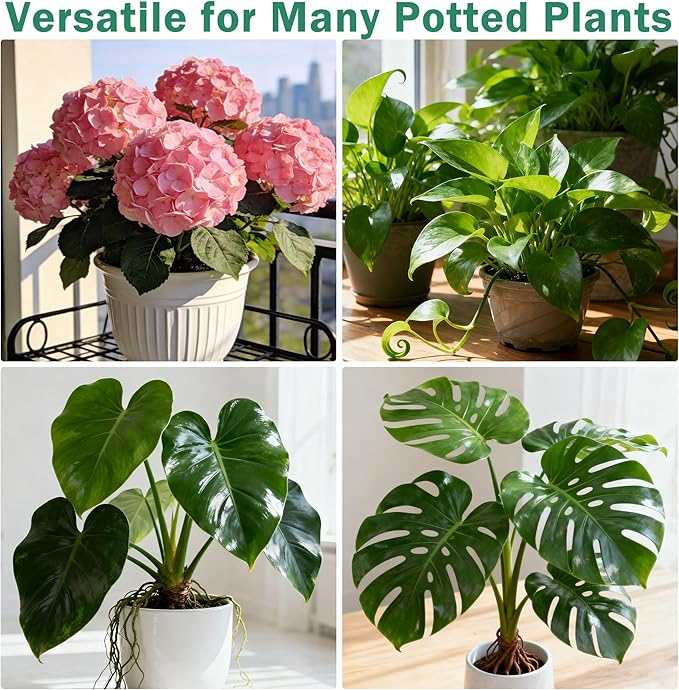 10 Pack Stackable Monstera Plant Support Stakes, Half Round Climbing Plant Pole Sticks Structures for Indoor/Outdoor Plants, Garden Accessories for Potted, Pothos, Philodendron & Vine Plants