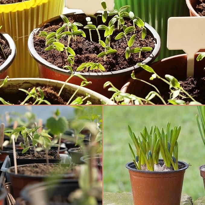 KINGLAKE 100 Pcs 4" Plastic Plants Nursery Pot/Pots Seedlings Flower Plant Container Seed Starting Pots,4 Inch,Red