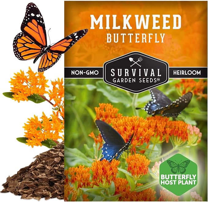 Butterfly Milkweed Seeds for Planting with Instructions to Grow Asclepias Tuberosa - Attract Butterflies & Help Conservation - Non-GMO Heirloom Open-Pollinated - Survival Garden Seeds (1 Pack)