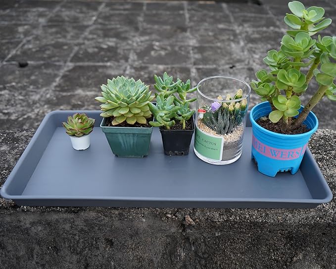 VUWEZ 2 Pack Plant Saucer Tray Rectangular, Plant Growing Nursery Trays, Heavy Sturdy Seed Starting Trays, Plant Starter Trays for Indoors No Holes, Seed Starter Growing Tray (17.5"x10.6", Gray)