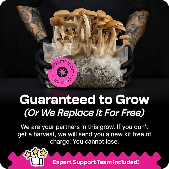 Mushroom Grow Kit – All-in-One 4LB Grow Bag with Injection Port – Fast-Colonizing Premium Substrate for Exotic & Gourmet Fungi – Multi-Flush High-Yield – USA Made (Spores Not Included)