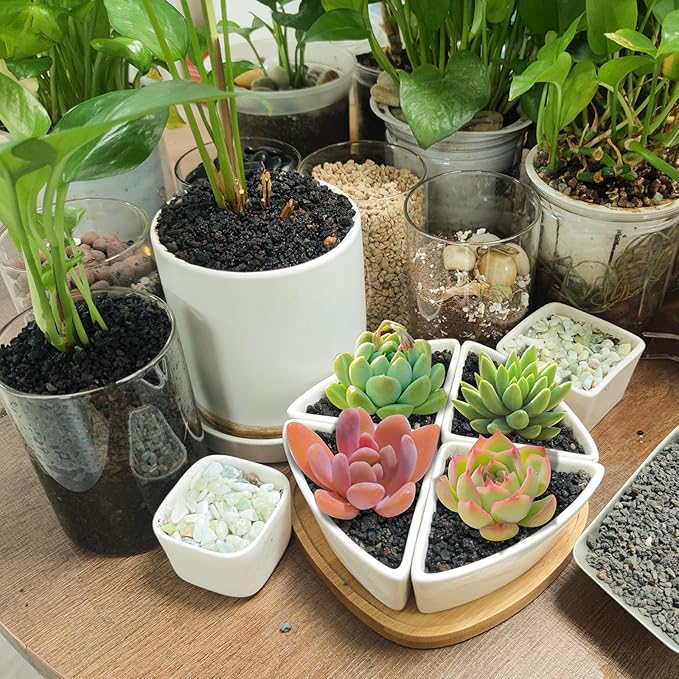 Mulctun 45Lb Horticultural Lava Rock-Lava Rocks for Plants,Succulent Soil Amendment,Decorative Cactus Soil Potting Mix,Volcanic Rock for Aquarium Fairy Gardening Top Dressing Plant Drainage