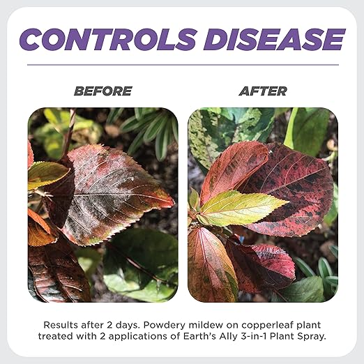 Earth's Ally 3-in-1 Plant Spray 8 Oz Concentrate for Pests and Disease - Organic Insecticide, Fungicide, Miticide - OMRI Listed for Indoor Houseplants and Outdoor Garden - Safe for Bees, Kids, Pets