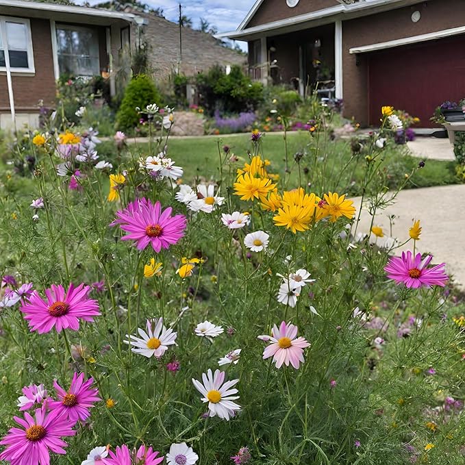 Created By Nature Indiana Wildflower Seed Mix, 16 Flower Varieties, 40,000 Seeds
