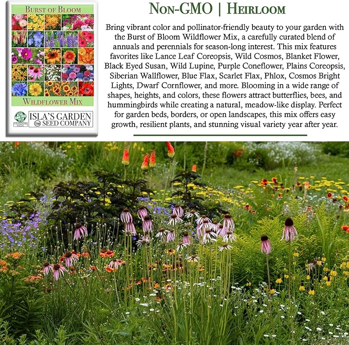 Burst of Bloom Wildflower Seeds Mix – 2500+ Non-GMO & Heirloom Seeds, Attracts Butterflies & Hummingbirds, Annual & Perennial Blend for Pollinator Gardens, by Isla’s Garden Seeds