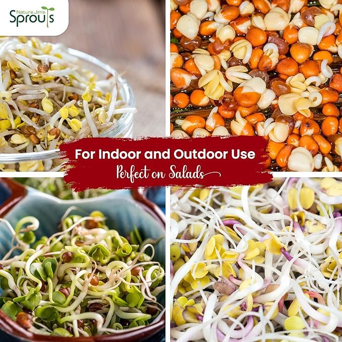 Nature Jims Organic Radish Sprout Seeds – 16 Ounce Premium Non-GMO Radish Seeds for Sprouting, Rich in Vitamins, Minerals, Fiber & Protein – Microgreen & Sprout Seeds for Home Growing